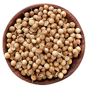 Coriander