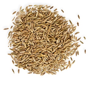 cumin