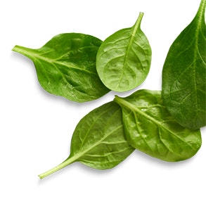 spinach