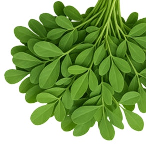 Fenugreek Leaves