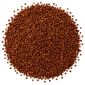 Red Quinoa