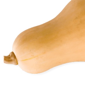 Butternut Squash
