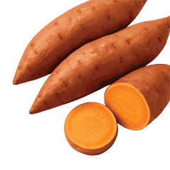 Sweet potato