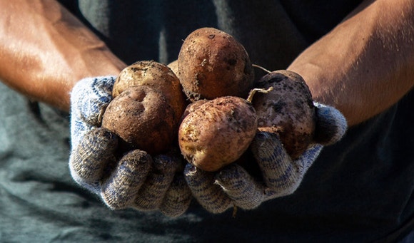 sustainability sourced